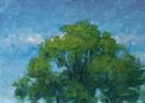 tree top no.2