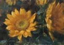 sunflowers 5x7 in.