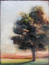 Little Tree on an April Afternoon