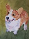 Corgi