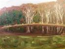 Sally's Upper Pond