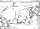 Nap on the Pillows