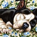 Sofa Siesta ll - Staffordshire Terrier Dog Painting