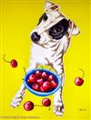 Bada Bing - Jack Russell Terrier with Bowl of Cherries