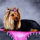 Daily Painting #189 - Precious in Pink - Yorkshire Terrier Dog Art