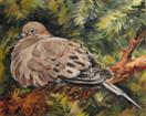 'One Turtle Dove'