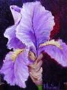 Iris oil painting miniature