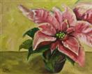 Original Painting of Poinsettia
