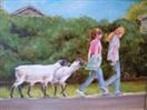 Little Sheep