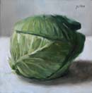 cabbage 6x6 in.