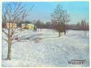 Winter Trees 35