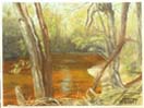 Sunlit Stream