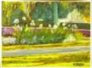 Lakeside Park 7