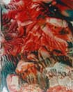 Yohoo Tarzan, encaustic art 7x9cm
