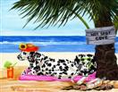 Hot Spot Cove - Dalmatian Dog Beach Painting