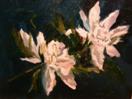 ANNE MCNALLY ' 2 GARDENIAS' 9 x 12 oil on linen board