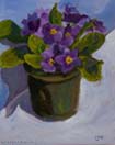 Purple Primrose 1 and 2