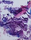 Purple abstract 1, encaustic art 7x9cm