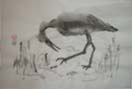 Heron - Looking for fish, ink on rice paper 16x24cm