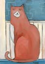 Salmon Cat