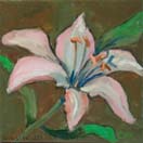 Lilly