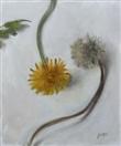dandelions no.2