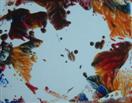 Macro Paradise, encaustic art 7x9cm + snake + gekko