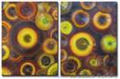 'Purely Pistachio' - fossil textured oil on canvas - AJ LaGasse