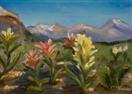High Mountain Paintbrush