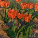 Red Tulips
