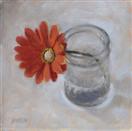 Gerbera In Jar 5x5 in.