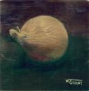 Onion