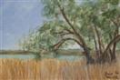 Trees on the Marsh