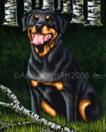 Backwoods Companion - Rottweiler Portrait