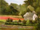 Poppy Fields