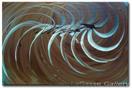 'Evolve' - 24x36 inches - acrylic on canvas