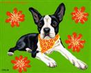 Daily Painting #208 - Cosmo Cutie - Boston Terrier Dog Art