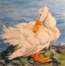 'Preening Lady Duck'