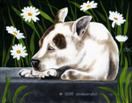 Daisy Daydreamer - Staffordshire Terrier Dog Art