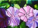 More Morning Glories from Half Moon Bay, painting on glass