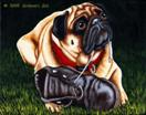 Daily Painting #200 - Clutter Buster- Pug Dog Art