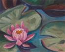 Oil Painting of Pink Water Lily