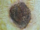 This Week in the Studio, April 3