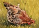 Little Red Hen