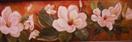 Magnolias in a Row  by Barbara Haviland