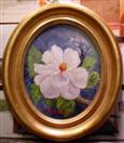 Oval Magnolia framed by Barbara Haviland