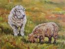 Lambkin and Mum