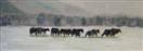 2/04/09   Winter Feed