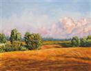 SC Landscape Finished
