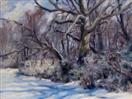 'Winter Sycamore' oil on canvas, 12 x 16